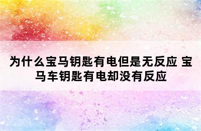 为什么宝马钥匙有电但是无反应 宝马车钥匙有电却没有反应